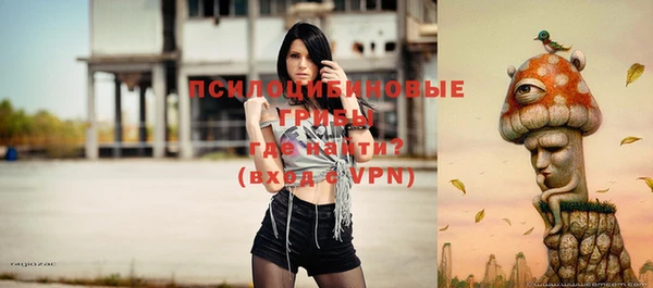 спайс Белокуриха