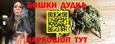 индика Ижевск