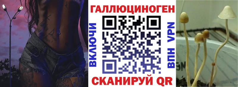 Псилоцибиновые грибы MAGIC MUSHROOMS  ОМГ ОМГ рабочий сайт  Среднеуральск 