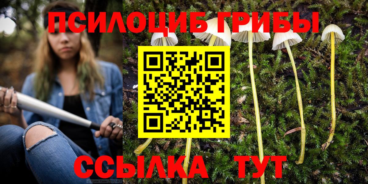 Галлюциногенные грибы Psilocybine cubensis  Вход с VPN  Среднеуральск 